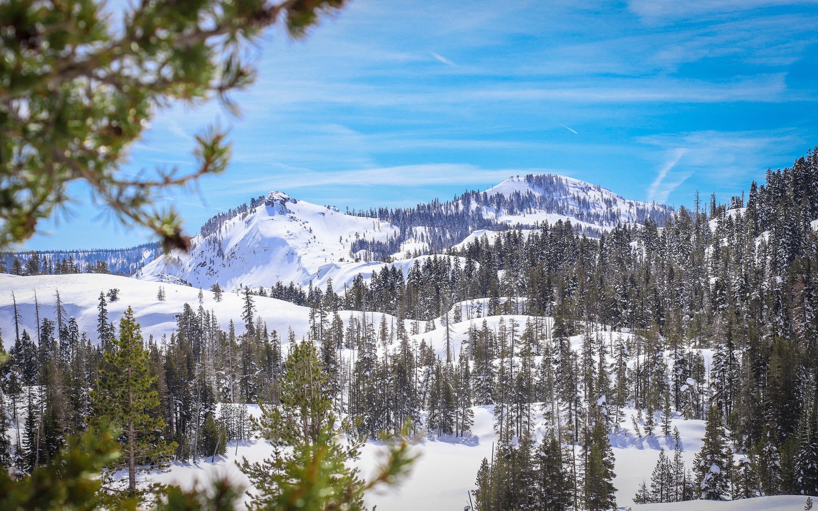 Surefoot Truckee ski boot shop